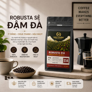 cà phê bảo farm no6 robusta sẻ s14,s16