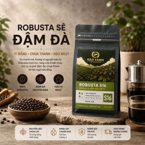 cà phê bảo farm no6 – robusta sẻ b’lao s16